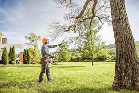 Professional Tree Removal and Landscaping Services in West Bay Shore, NY